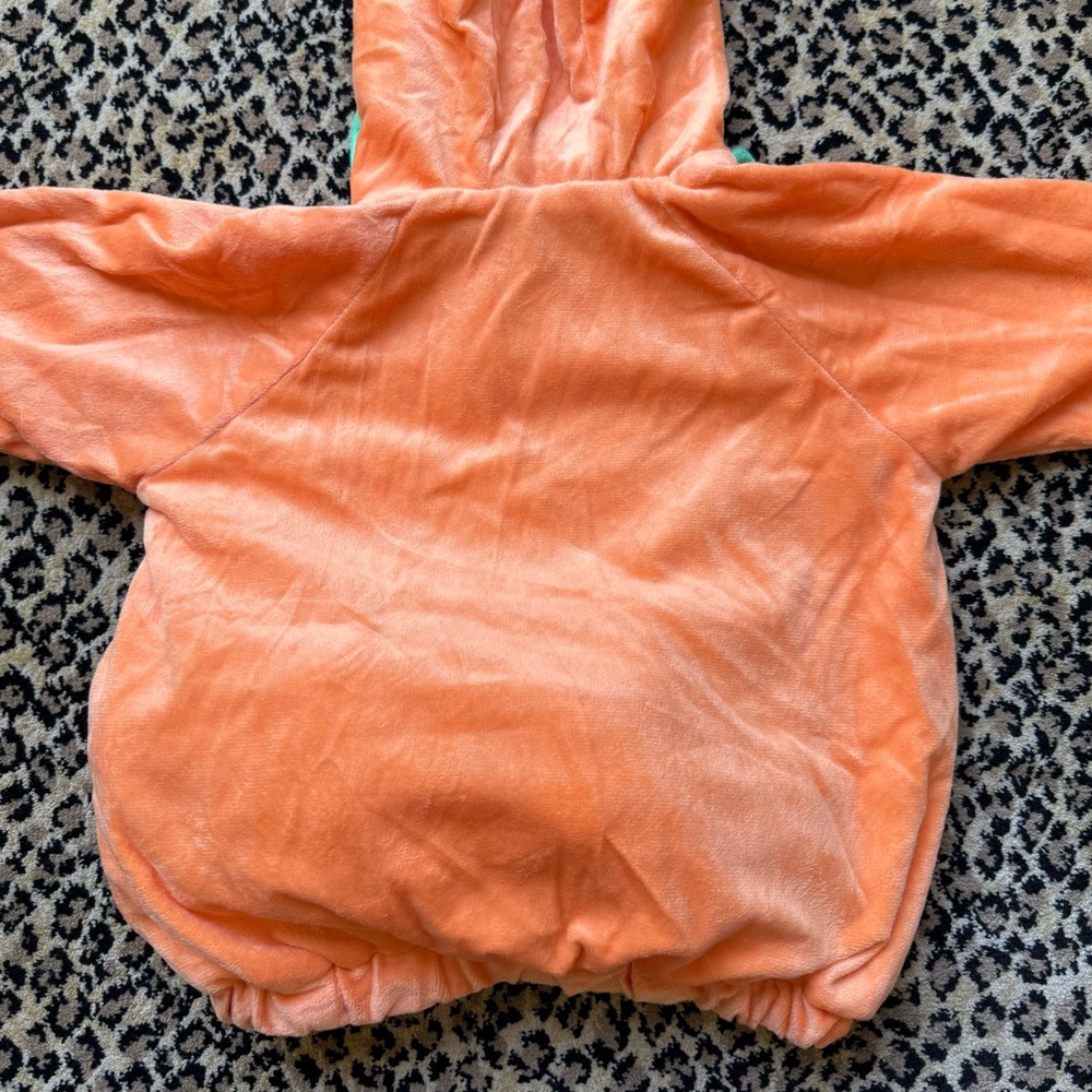 Pumpkin costume (12-18 months) (NWT) - Picture 11 of 13